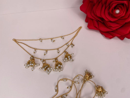 Elegant Saharay For Jhumka’s— Traditional Elegance with a Modern Twist - Fairyfixofficial